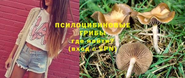 прущие крисы Белокуриха
