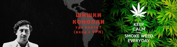 прущие крисы Белокуриха