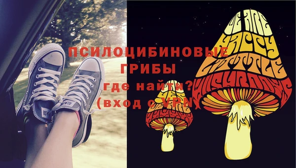 прущие крисы Белокуриха