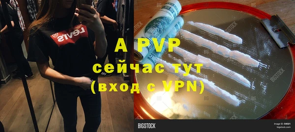 прущие крисы Белокуриха