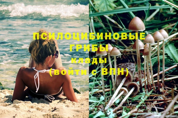 прущие крисы Белокуриха