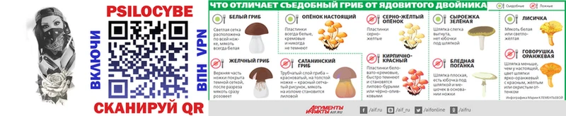 Галлюциногенные грибы прущие грибы  Купить где  Белокуриха 